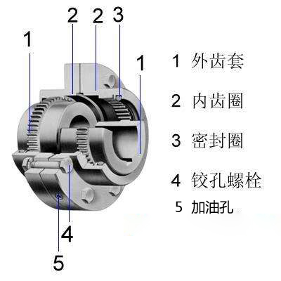 鼓形齒式聯(lián)軸器結(jié)構(gòu)